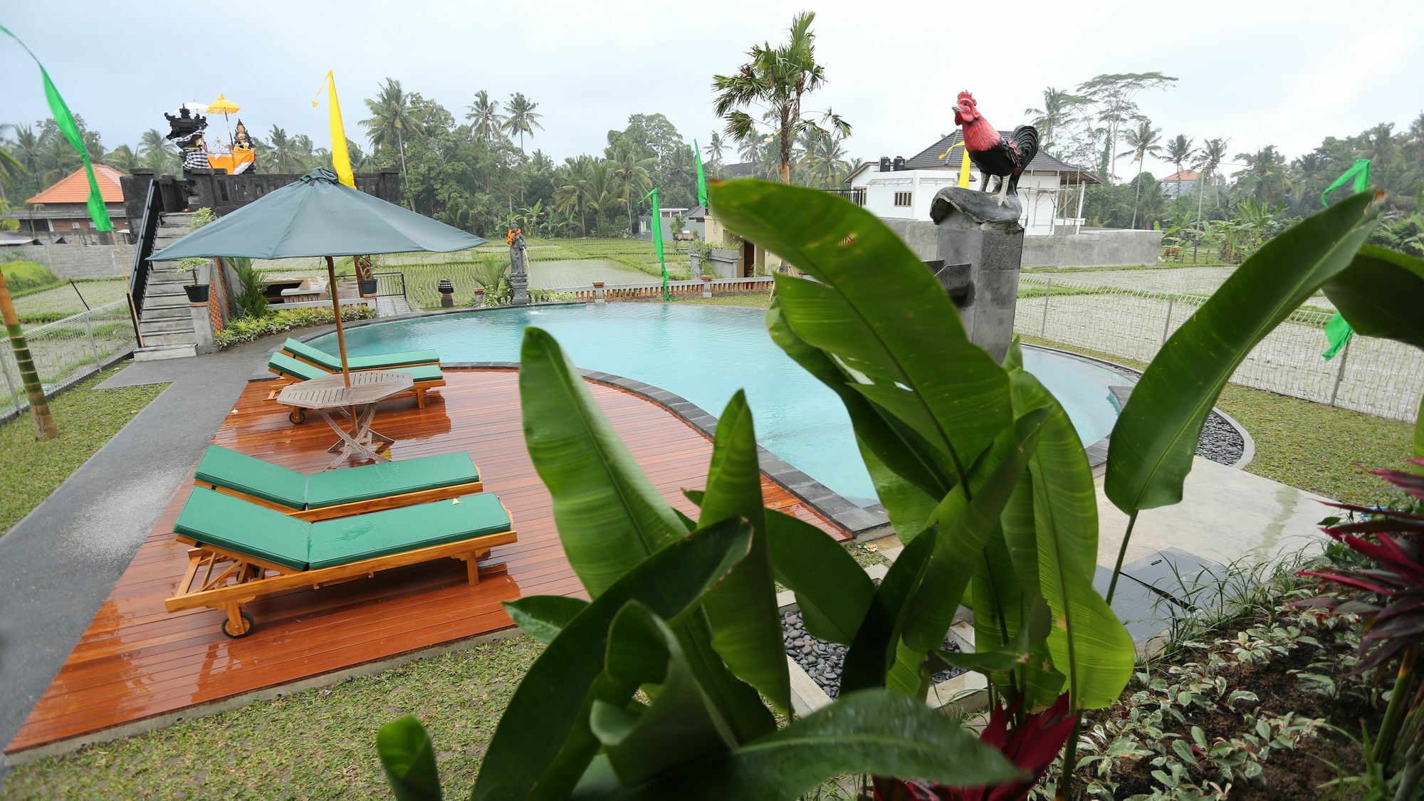 Darra Ria Villa Ubud Екстериор снимка