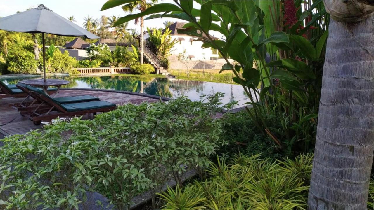 Darra Ria Villa Ubud Екстериор снимка
